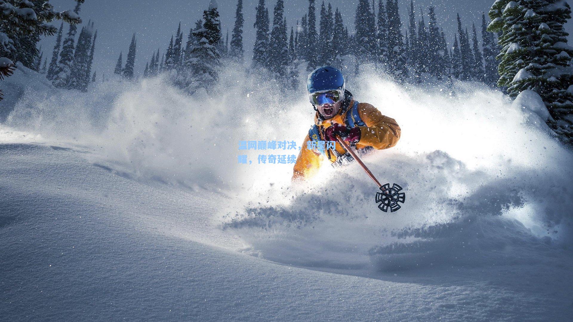 温网巅峰对决,新星闪耀,传奇延续