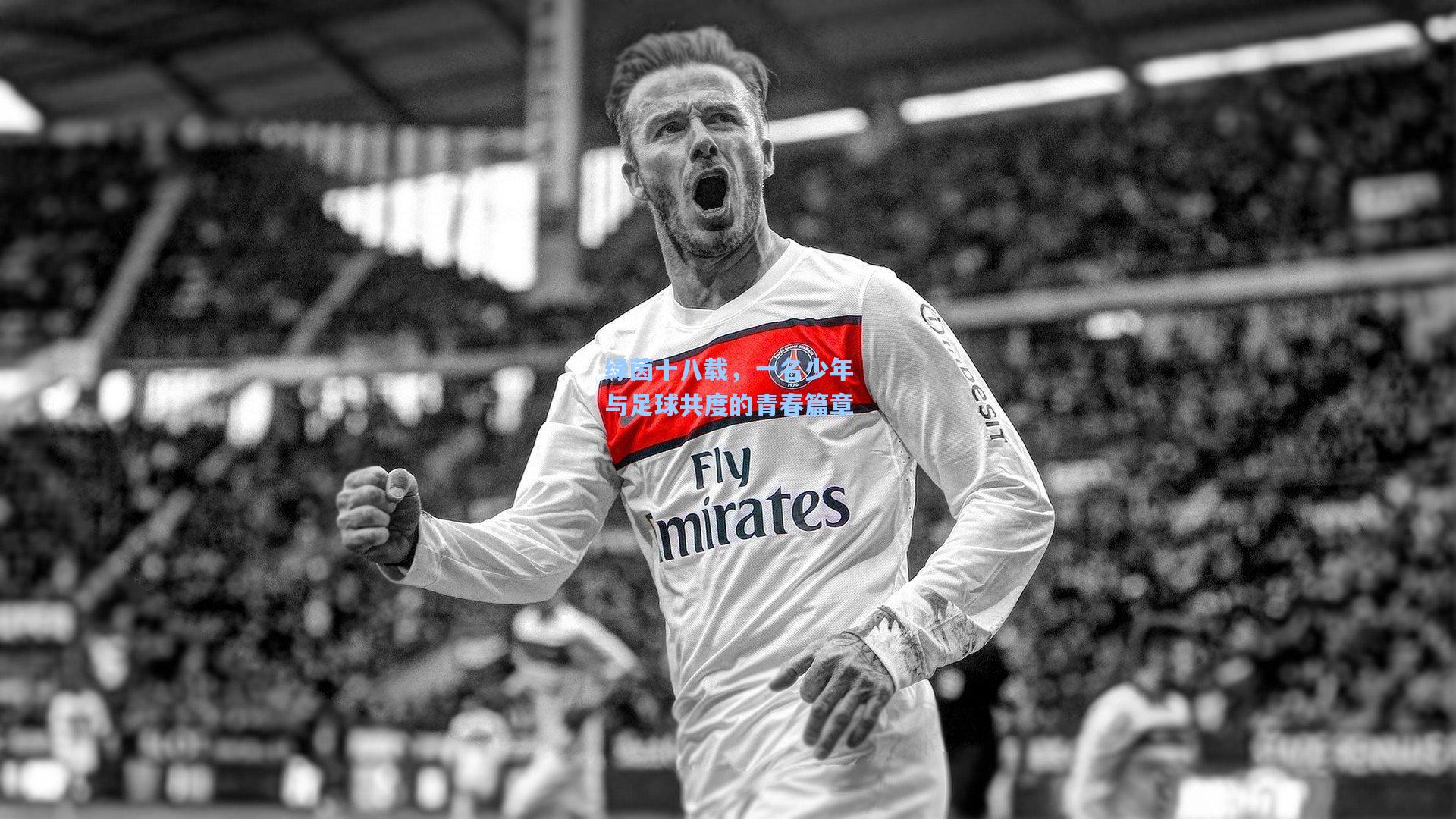 壹号娱乐平台-绿茵十八载，一名少年与足球共度的青春篇章